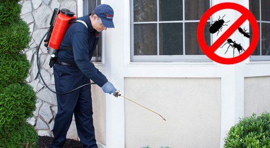 Sarıveliler Böcek ve Haşere İlaçlama böcek ilaçlama ve haşere kontrolü — ilaclama-tr.com